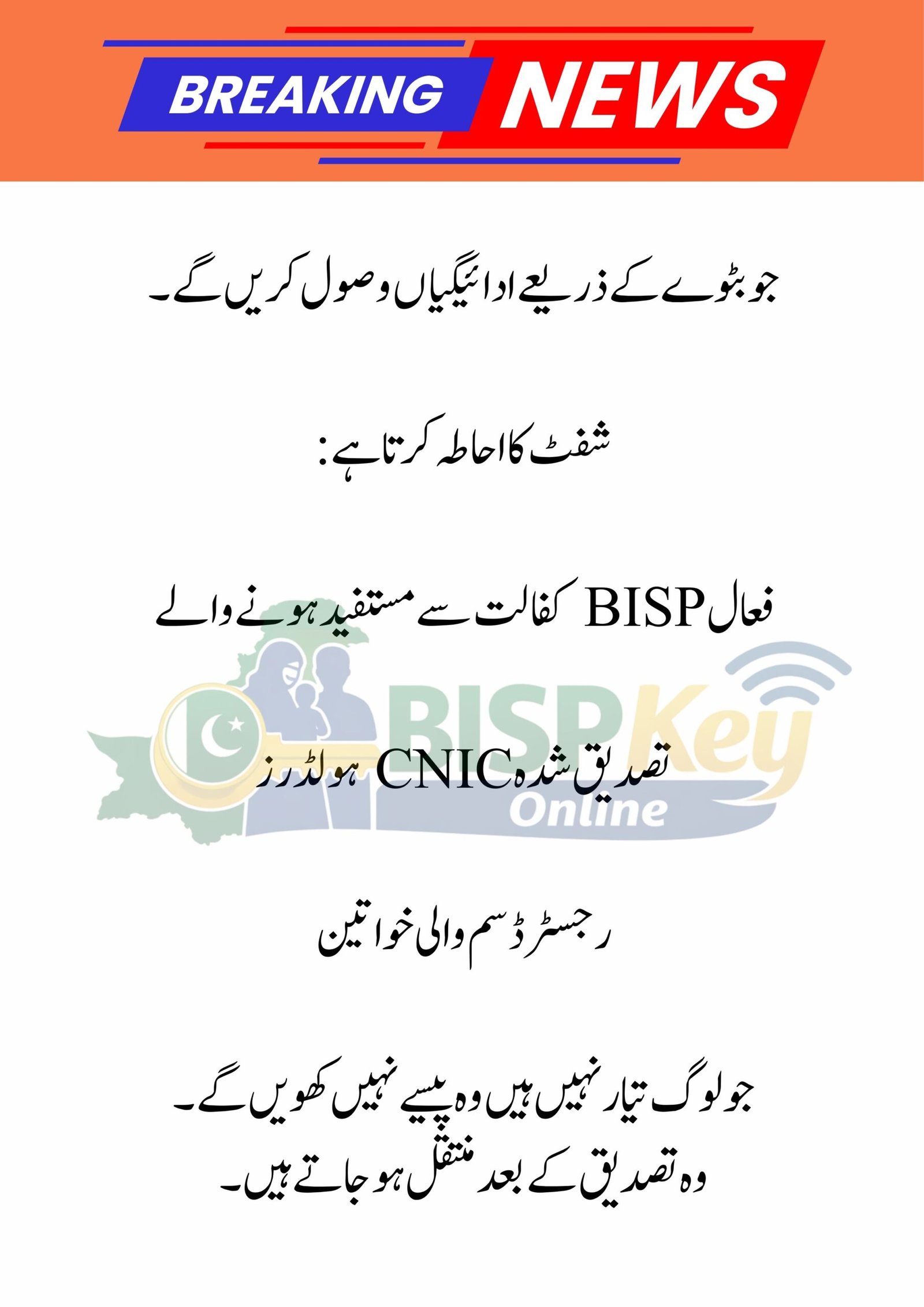 Digital Wallet System 